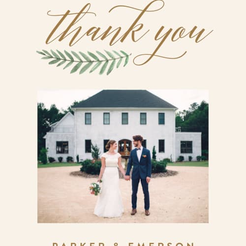 This is a cream thank you postcards by Amy Kross called painted ferns printing on signature in postcard
