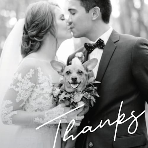 This is a cloud thank you postcards with standard by Pine Street Creative called as if a dream printing on signature in postcard