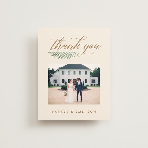This is a cream thank you postcards by Amy Kross called painted ferns printing on signature in postcard