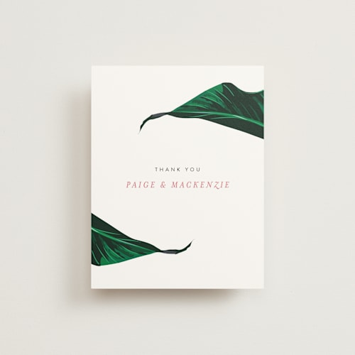 This is a pearl thank you postcards by Erin Hodges called mod palm printing on signature in postcard