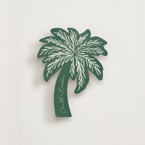 This is a foliage enclosure cards with standard by Pixel and Hank called coastal drift printing on signature in standard