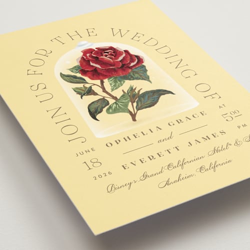 This is a mimosa wedding invitations with standard by Leah Bisch called enchanted rose from disney's beauty & the beast printing on signature in standard
