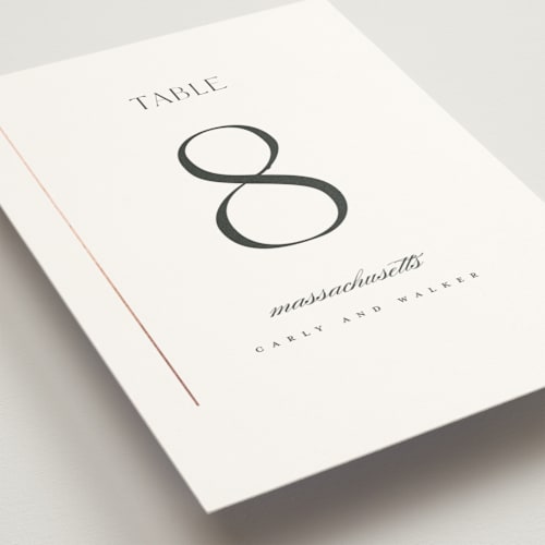 This is a cotton table numbers with foil pressed by Stacey Meacham called understated elegance printing on doublethick in standard