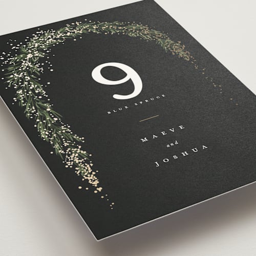 This is a tuxedo table numbers with foil pressed by Leah Bisch called winter garland printing on doublethick in standard