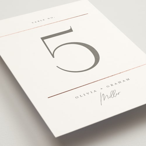 This is a snow table numbers with foil pressed by Michelle Taylor called simple lines printing on doublethick in standard