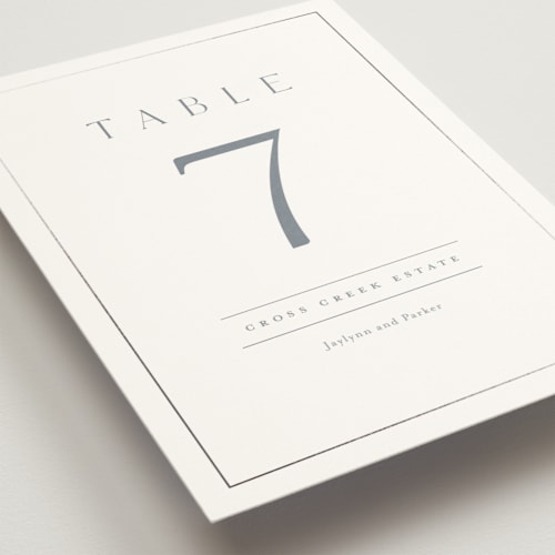 This is a dusty blue table numbers with foil pressed by Stacey Meacham called warm affection printing on doublethick in standard