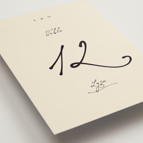 This is a noir table numbers with foil pressed by Ani Somi called written in the stars printing on doublethick in standard