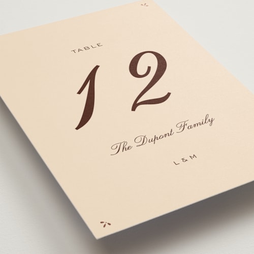 This is a coco table numbers with foil pressed by Ani Somi called sweet fancy printing on doublethick in standard