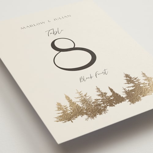 This is a fallen snow table numbers with foil pressed by Robin Ott called vista printing on doublethick in standard
