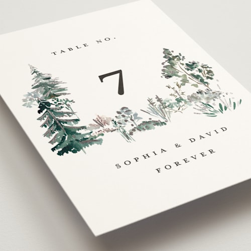 This is a snow table numbers with foil pressed by Petra Kern called great outdoors printing on doublethick in standard