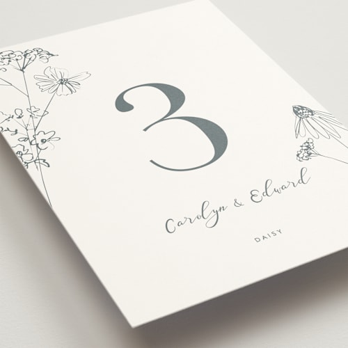 This is a storm table numbers with standard by Baumbirdy called sketched florals printing on doublethick in standard