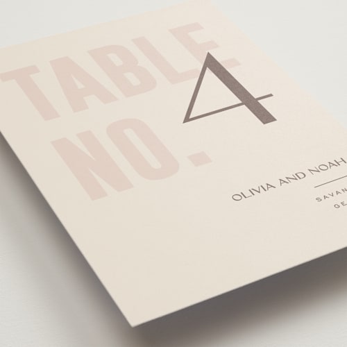 This is a blush table numbers with standard by Pixel and Hank called salted printing on doublethick in standard