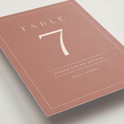 This is a dusty rose table numbers with standard by Stacey Meacham called warm affection printing on doublethick in standard