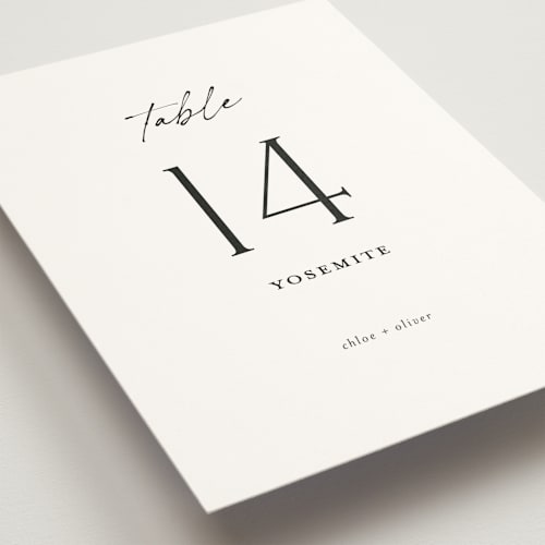This is a jasmine table numbers with standard by Pippa Shaw called modern classic printing on doublethick in standard