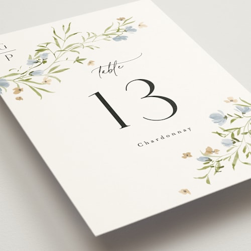 This is a porcelain table numbers with standard by Everett Paper Goods called sweeping meadow printing on doublethick in standard