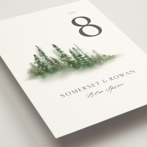 This is a evergreen table numbers with standard by Melanie Kosuge called somerset printing on doublethick in standard