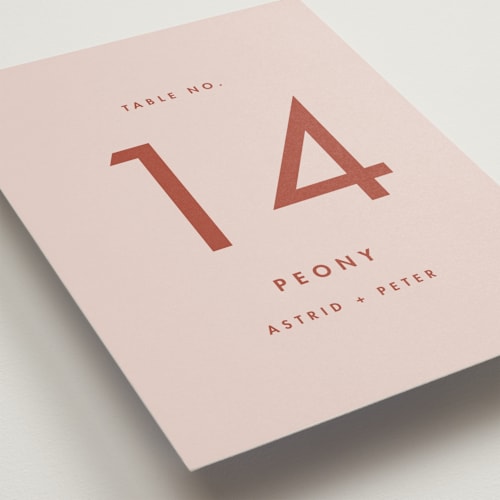 This is a peach cream table numbers with standard by Snow and Ivy called jot printing on doublethick in standard