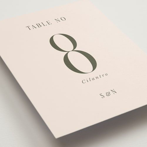 This is a blush table numbers with standard by Pati Cascino called fero printing on doublethick in standard