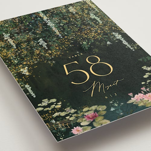 This is a mystic table numbers with standard by Phrosné Barwood called new orleans from disney's princess and the frog printing on doublethick in standard