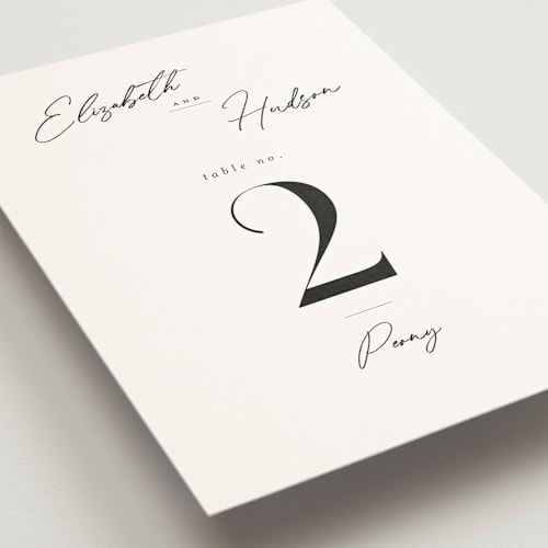 This is a snow table numbers with standard by Nicoletta Savod called macaron printing on doublethick in standard