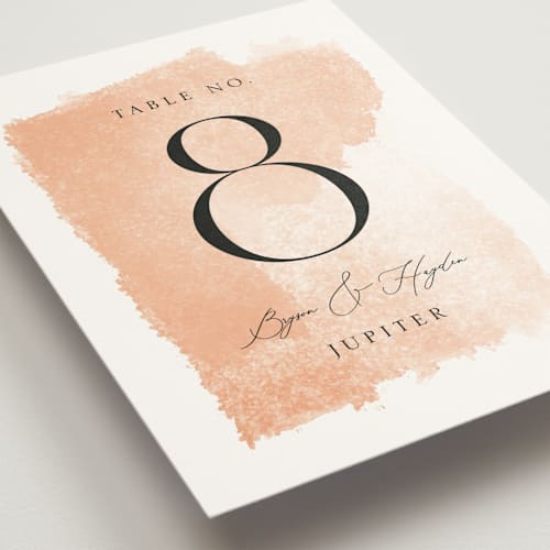 This is a blush table numbers with standard by Snow and Ivy called swept printing on doublethick in standard
