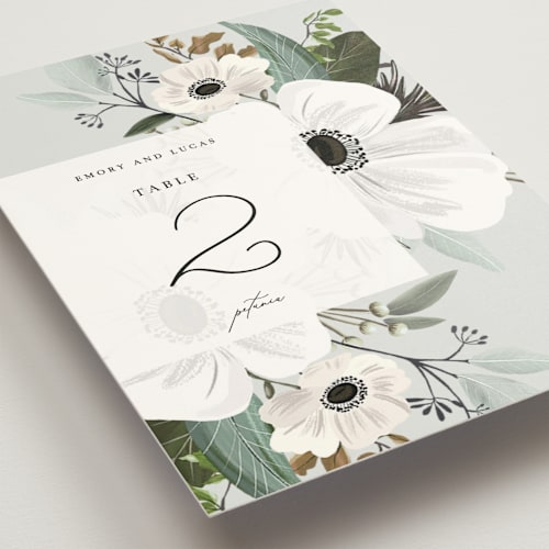 This is a pistachio table numbers with standard by Nicole Whiddon called inverness printing on doublethick in standard