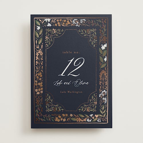 This is a navy table numbers with foil pressed by Alethea and Ruth called illuminated storybook printing on doublethick in standard