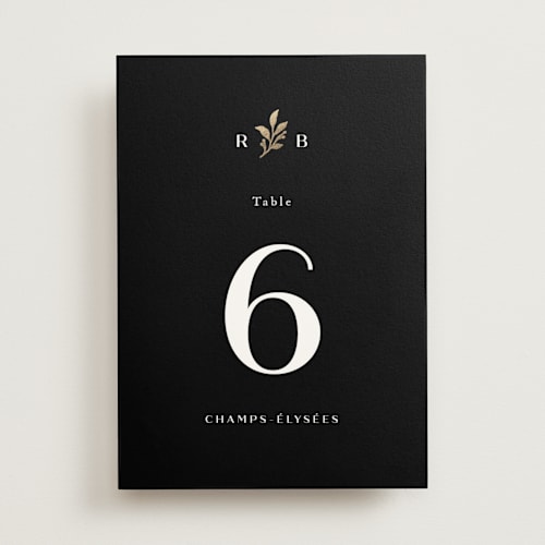 This is a black dahlia table numbers with foil pressed by Olivia Raufman called petite sprig printing on doublethick in standard