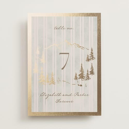 This is a dew table numbers with foil pressed by Petra Kern called mountain love printing on doublethick in standard