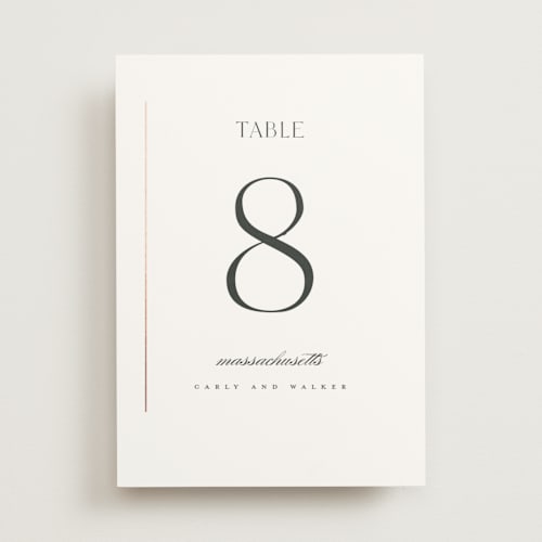 This is a cotton table numbers with foil pressed by Stacey Meacham called understated elegance printing on doublethick in standard