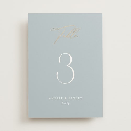 This is a dusty blue table numbers with foil pressed by Angela Thompson called delicacy printing on doublethick in standard