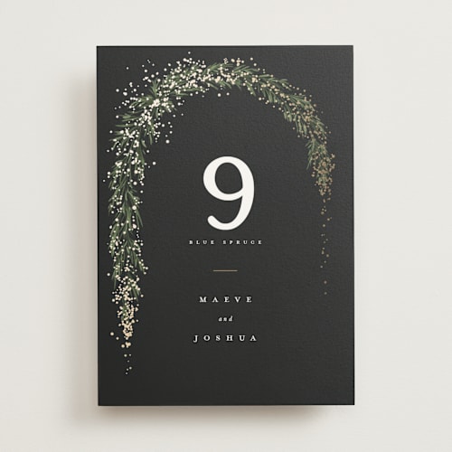 This is a tuxedo table numbers with foil pressed by Leah Bisch called winter garland printing on doublethick in standard