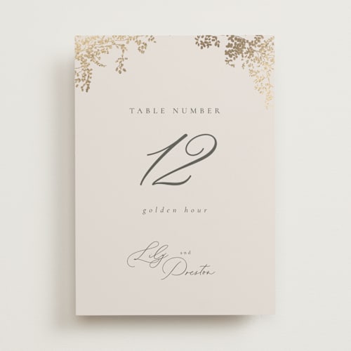 This is a luxe neutral table numbers with foil pressed by Design Lotus called forever and a day printing on doublethick in standard