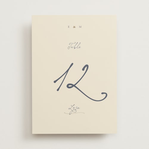 This is a chambray table numbers with foil pressed by Ani Somi called written in the stars printing on doublethick in standard