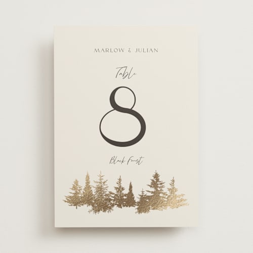 This is a fallen snow table numbers with foil pressed by Robin Ott called vista printing on doublethick in standard