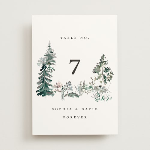This is a snow table numbers with foil pressed by Petra Kern called great outdoors printing on doublethick in standard