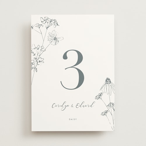This is a storm table numbers with standard by Baumbirdy called sketched florals printing on doublethick in standard