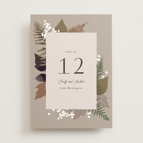 This is a natural table numbers with standard by Alethea and Ruth called autumnal printing on doublethick in standard