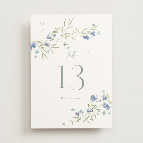 This is a aquamarine table numbers with standard by Everett Paper Goods called sweeping meadow printing on doublethick in standard