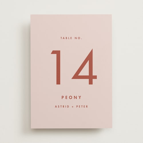 This is a peach cream table numbers with standard by Snow and Ivy called jot printing on doublethick in standard