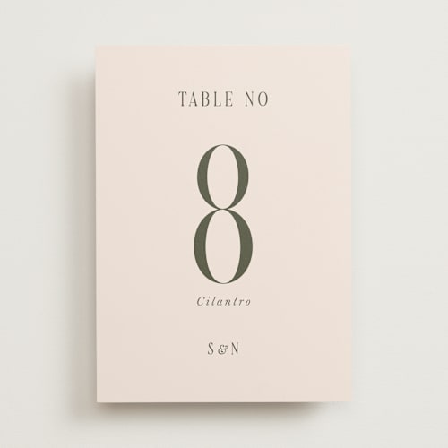 This is a blush table numbers with standard by Pati Cascino called fero printing on doublethick in standard