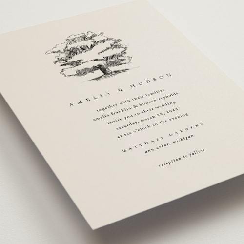 This is a dove petite wedding invitations with standard by Amy Kross called white oak printing on signature in petite