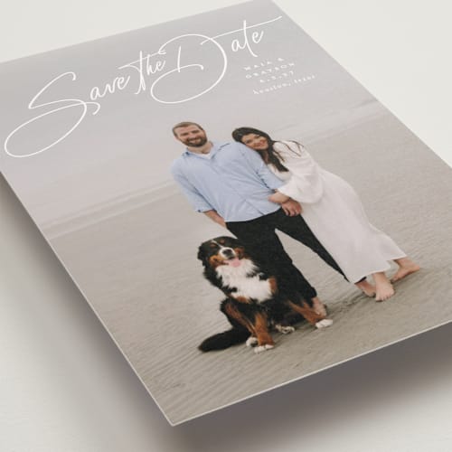 This is a snow save the date postcards with standard by Lauren Chism called sweetest love printing on signature in postcard