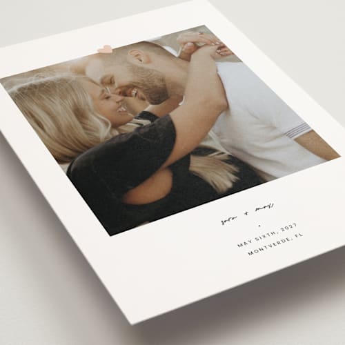 This is a camellia save the date postcards with standard by Blustery August called camellia printing on signature in postcard