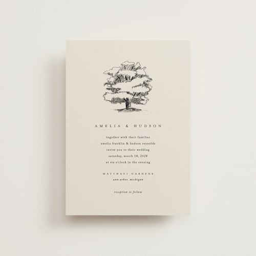 This is a dove petite wedding invitations with standard by Amy Kross called white oak printing on signature in petite
