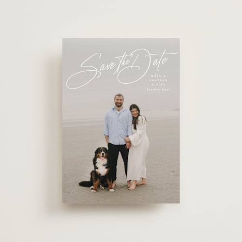 This is a snow save the date postcards with standard by Lauren Chism called sweetest love printing on signature in postcard