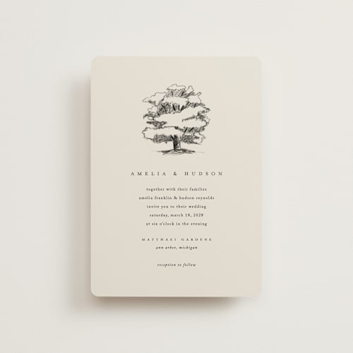 This is a dove petite wedding invitations with standard by Amy Kross called white oak printing on signature in petite