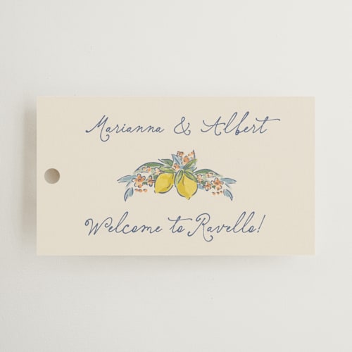 This is a aqua wedding favor tags with standard by Chris Griffith called amalfi coast wedding printing on signature in tag