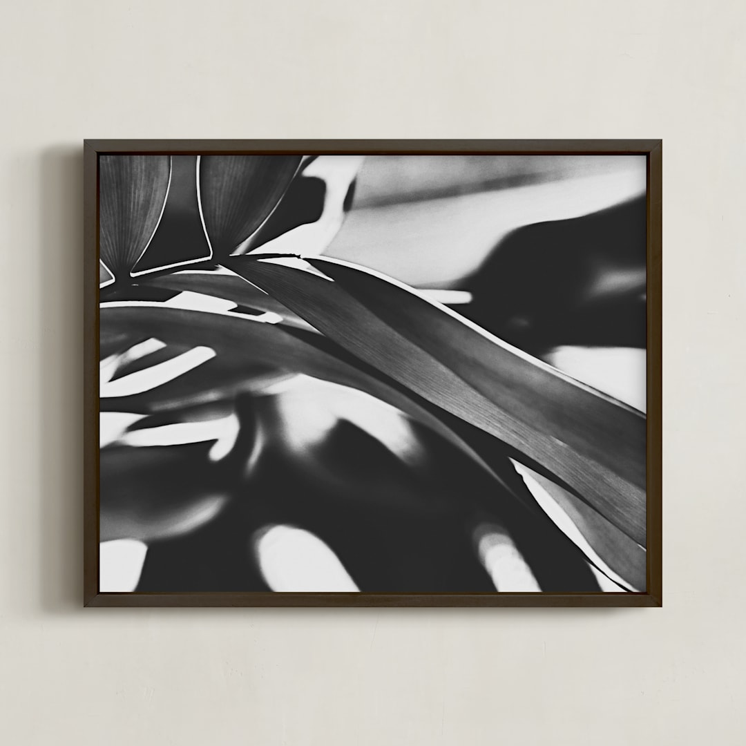 "GLOWING BOTANICAL II" - Art Print in BLACK AND WHITE by Amy Chapman Braun - Framed