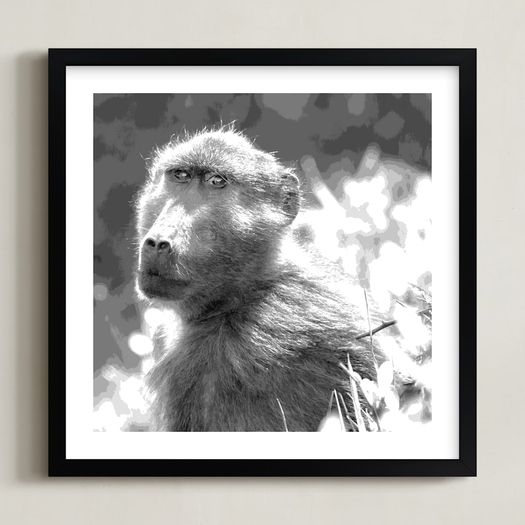 "mr BABOON" - Art Print in steely gray by Gail Schechter - Framed